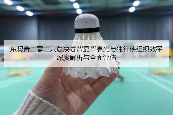 东契奇二零二六总决赛背靠背高光与独行侠组织效率深度解析与全面评估