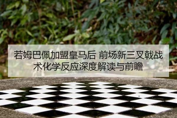 ruo-mu-ba-pei-jia-meng-huang-ma-hou-qian-chang-xin-san-cha-ji-zhan-shu-hua-xue-fan-ying-shen-du-jie-du-yu-qian-zhan-2-423.jpg